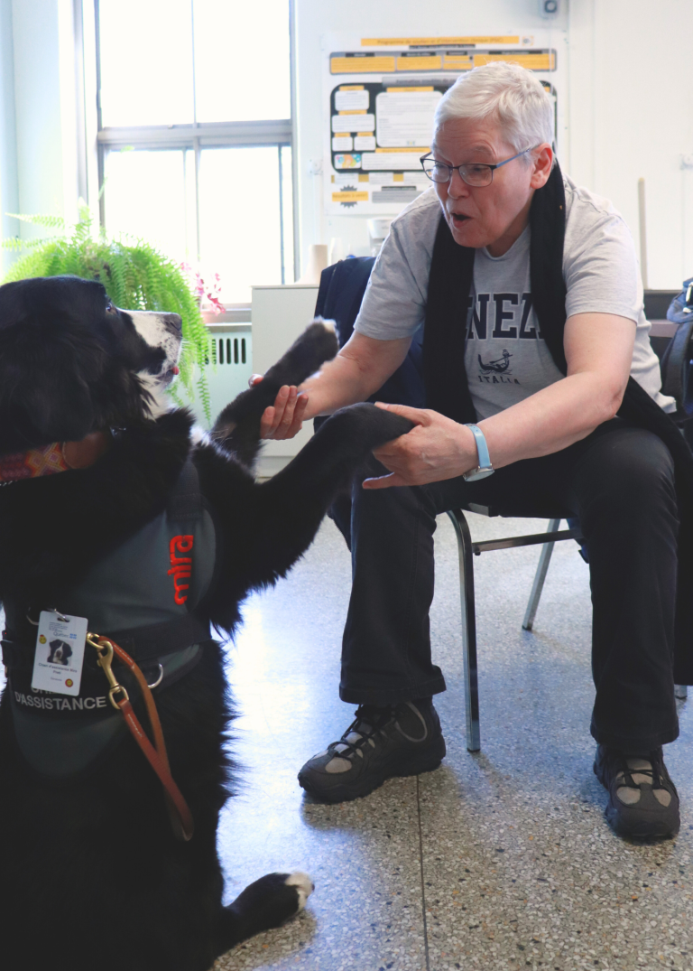 Homme interagissant avec un chien Mira