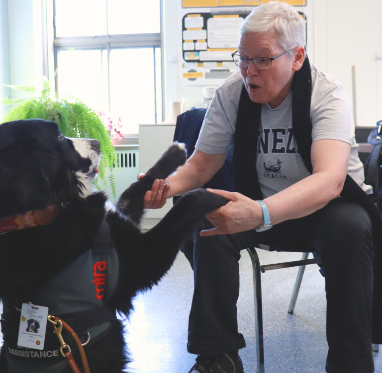 Homme interagissant avec un chien Mira